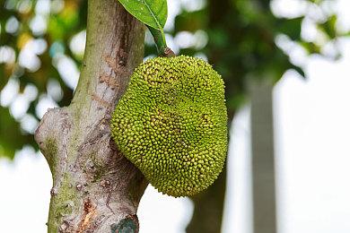 《黑神话》第二 外媒评中国厂商十大最佳游戏